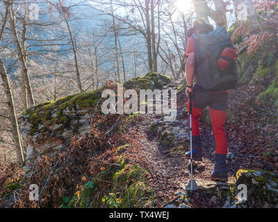 Spain, Asturia, Cantabrian Mountains, senior man on a hiking trip through the woods