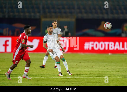 June 23, 2019: !! during the 2019 African Cup of Nations match between Algeria and Kenya at the 30 November Stadium in Cairo, Egypt. Ulrik Pedersen/CSM. Stock Photo