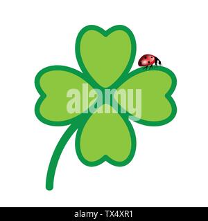 green cloverleaf with lady bug isolated on white background vector illustration EPS10 Stock Vector