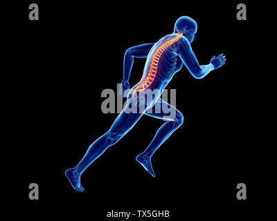 3d rendered illustration of a joggers spine Stock Photo