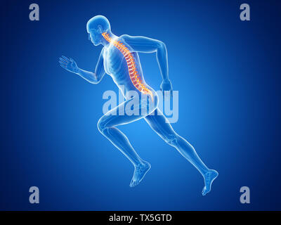 3d rendered illustration of a joggers spine Stock Photo