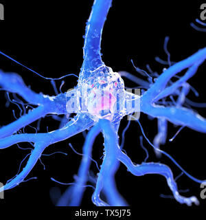 3d rendered, medically accurate illustration of a nerve cell Stock Photo