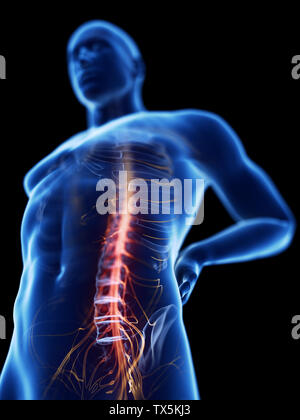 3d rendered illustration of a man having backache Stock Photo