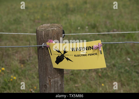 Yellow warning card on post for an electric fence in field near Eynsford in kent UK Stock Photo