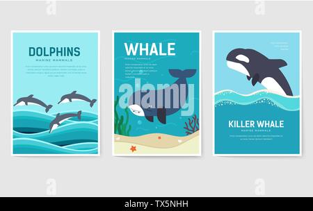 Set of Sea mammals pattern concept. Art animal, magazine, book, poster, abstract, banners, element. Vector fish in ocean life package greeting card or invitation brochure Stock Vector