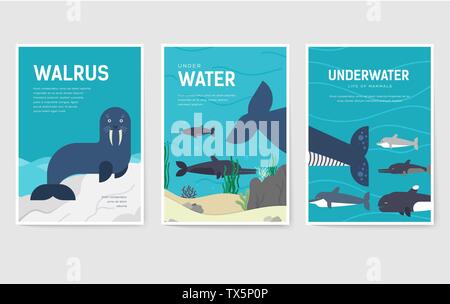 Set of Sea mammals pattern concept. Art animal, magazine, book, poster, abstract, banners, element. Vector fish in ocean life package greeting card or invitation brochure Stock Vector