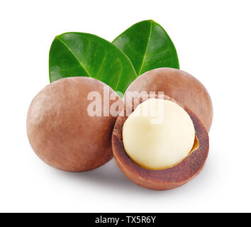 Whole and open australian macadamia nut with the two green leaf Stock Photo
