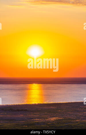 Bright summer sunrise with river coast and couple trees Stock Photo - Alamy