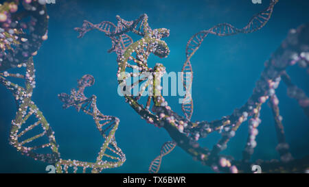 DNA molecule, double helix carrying genetic instructions (3d science illustration) Stock Photo
