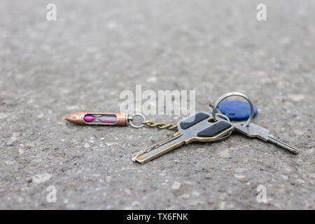 Lost bunch of old keys with a key fob on the road in a city park Stock Photo