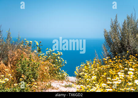 The edge of the cliff is full of yellow and white wildflowers and a romantic, beautiful curved path to the sea. Stock Photo