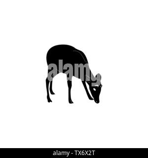 Sweet Deer Silhouette Isolated on White Background Stock Vector