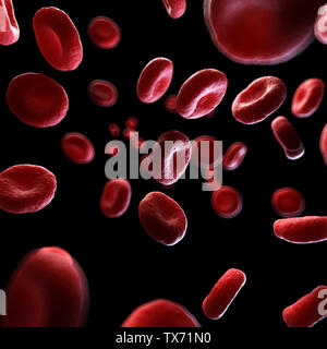 3d rendered medically accurate illustration of human blood cells Stock Photo