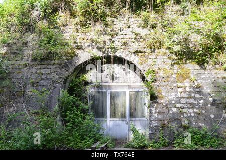 entrance to an old cellar, surrounded by bricks and plants Stock Photo