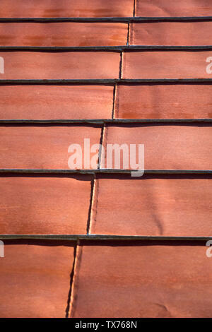 Detail of the roof rusty corrugated iron metal texture Stock Photo