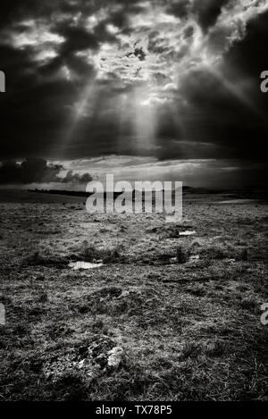 Bodmin moor after storm,dark sky sun breaking through on to granite stones and puddles on Bodmin moor, Stock Photo