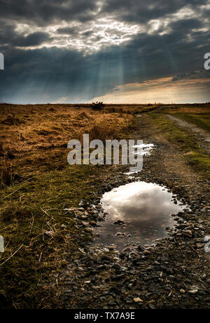 Bodmin moor after storm,dark sky sun breaking through on to granite stones and puddles on Bodmin moor, Stock Photo