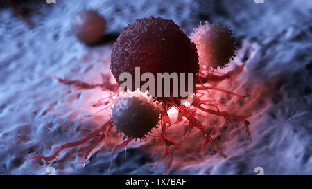 3d rendered medically accurate illustration of white blood cells attacking a cancer cell Stock Photo