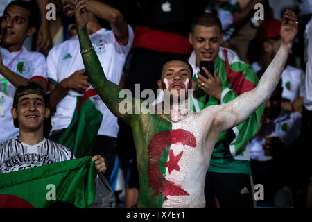 CAIRO, EGYPT - JUNE 23: Algeria fans during the 2019 Africa Cup of Nations Group C match between Algeria and Kenya at 30 June Stadium on June 23, 2019 in Cairo, Egypt. (Sebastian Frej/MB Media) Stock Photo