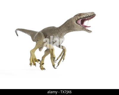 3d rendered illustration of a dakotaraptor Stock Photo