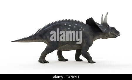 3d rendered illustration of a diceratops Stock Photo