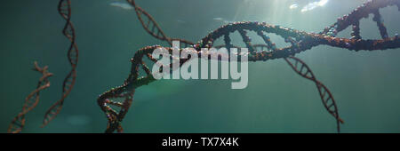 DNA molecule, double helix carrying genetic instructions (3d science rendering banner) Stock Photo