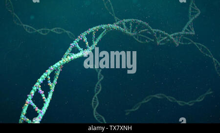 DNA structure, molecule concept, double helix carrying genetic instructions (3d science rendering) Stock Photo