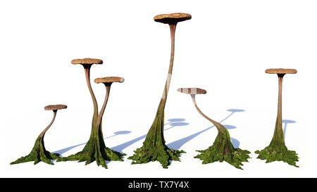 mushrooms, strange alien fungus isolated on white background (3d illustration background) Stock Photo