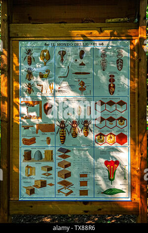 Italy Piedmont Turin Valentino botanical garden -  Tree Grove -beehives - sign about the world of bees Stock Photo