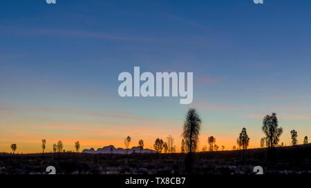 Glorious sunset in the nature with trees in silhouette and the outline of the mountains in the background, Kata Tjuta, Australia Stock Photo