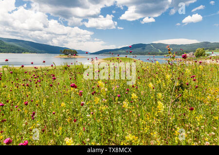 Dospat Reservoir is situated in the western part of the Rhodope Mountains, Bulgaria Stock Photo