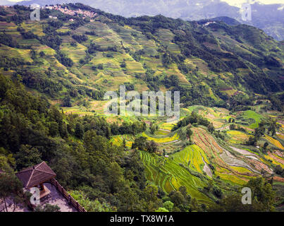 Ailao Mountain scenery Stock Photo