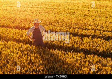 Aerial view of farmer standing in golden ripe wheat field and observing crops. Image is taken from drone pov high angle view in wide cultivated cereal Stock Photo