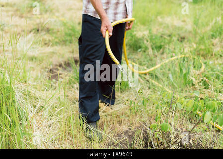 gardener watering a small growing tree on a farm. A man grows a walnut tree. Hose watering the garden. Stock Photo