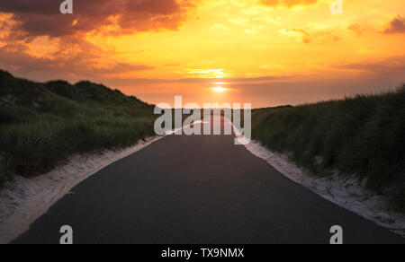 Empty street leading nowhere through dunes with sand and grass, at the golden hour of the sunrise, on the island Sylt, Germany. Stock Photo