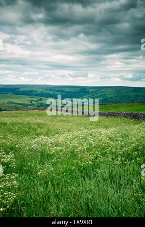 Looking westwards over Nidderdale  on a gloomy and heavily overcast day. N Yorkshire . 17/06/19 Stock Photo