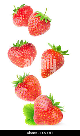 Isolated strawberries. Flying whole strawberry fruits isolated on white background with clipping path Stock Photo