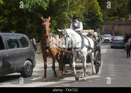 Tourist horse and carriage ride trotting in R. Barbosa du Bocage outside the UNESCO World Heritage Site of The Quinta da Regaleira, Sintra, Portugal. Stock Photo