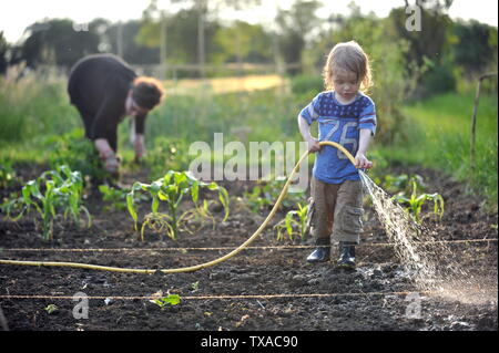 Small boy who loves gardening helping his mum on the allotment water the plants and crops with a watering can in the evening light Stock Photo