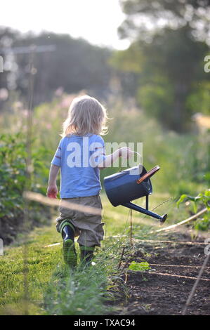 Small boy who loves gardening helping his mum on the allotment water the plants and crops with a watering can in the evening light Stock Photo