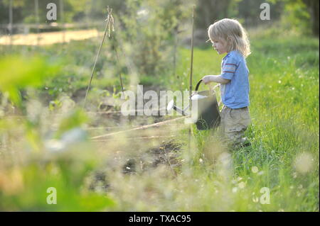 Small boy who loves gardening helping his mum on the allotment water the plants and crops with a watering can in the evening light Stock Photo