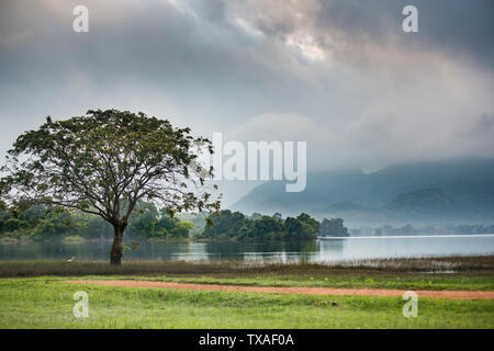 Beautiful view of the early morning in Danbler, central Sri Lanka Stock Photo