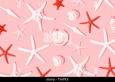 Seashells and starfish on pink background Stock Photo