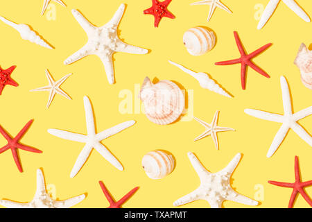 Seashells and starfish on yellow background Stock Photo