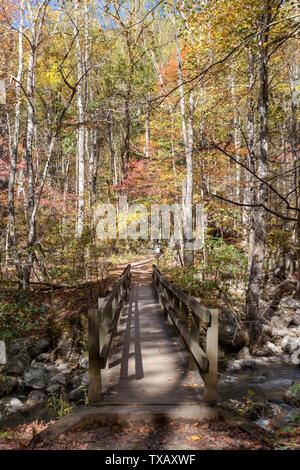 Footpath in the Great Smoky Mountains Stock Photo