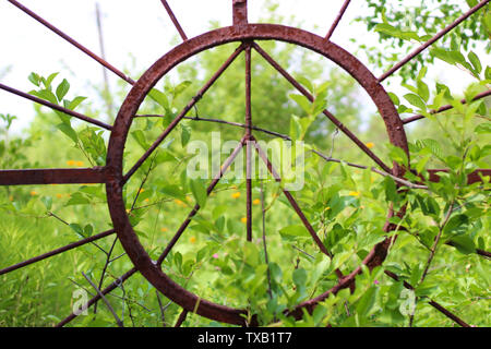 abstract sun image on old rusty iron gate. Image for background Stock Photo