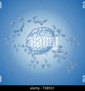 3d rendered illustration of antibodies attacking a virus Stock Photo ...