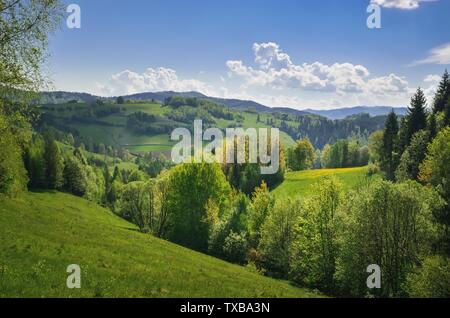 Beautiful spring mountain landscape. Charming views of the hills with green trees. Stock Photo