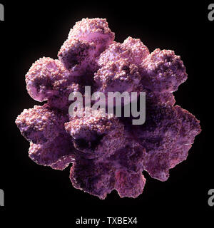 3d rendered, conceptual illustration of a virus Stock Photo