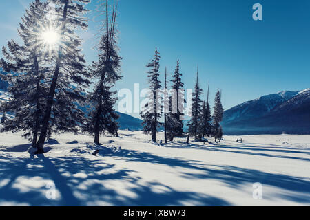 After snow scenery in Kanas, Xinjiang Stock Photo